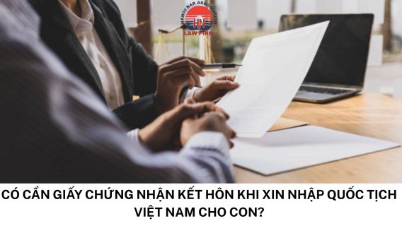 Xin nhập quốc tịch Việt Nam cho con